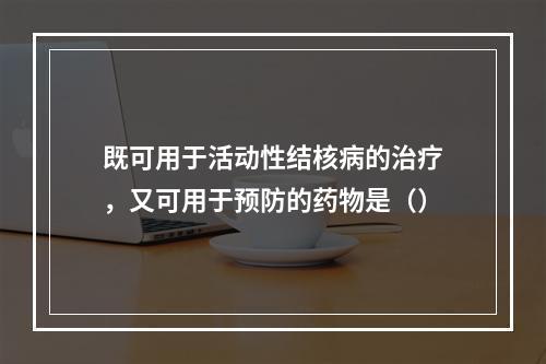 既可用于活动性结核病的治疗，又可用于预防的药物是（）