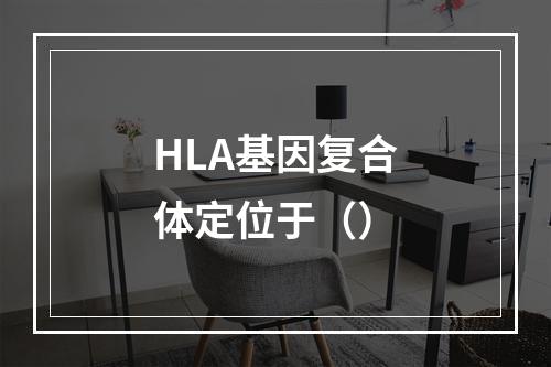 HLA基因复合体定位于（）