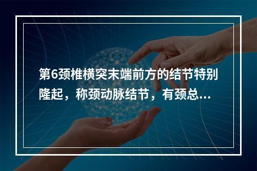 第6颈椎横突末端前方的结节特别隆起，称颈动脉结节，有颈总动脉