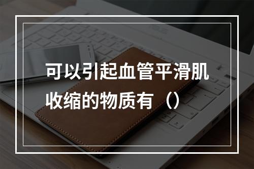 可以引起血管平滑肌收缩的物质有（）