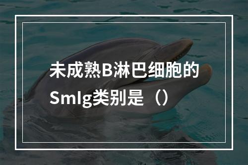 未成熟B淋巴细胞的SmIg类别是（）