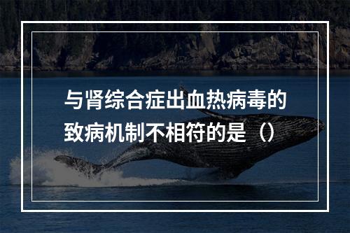 与肾综合症出血热病毒的致病机制不相符的是（）