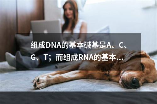 组成DNA的基本碱基是A、C、G、T；而组成RNA的基本碱基