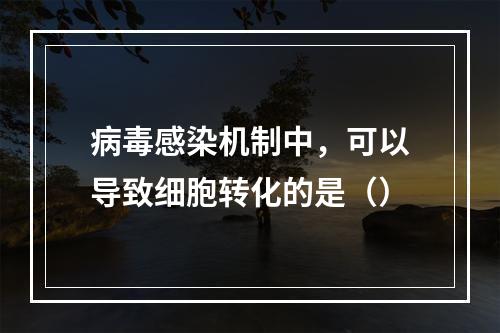 病毒感染机制中，可以导致细胞转化的是（）