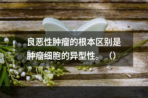 良恶性肿瘤的根本区别是肿瘤细胞的异型性。（）