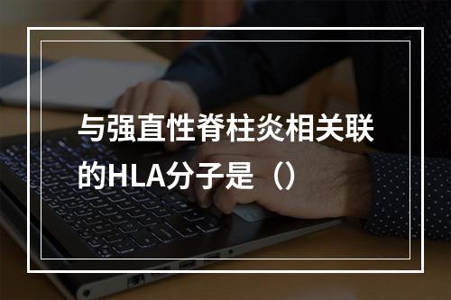 与强直性脊柱炎相关联的HLA分子是（）