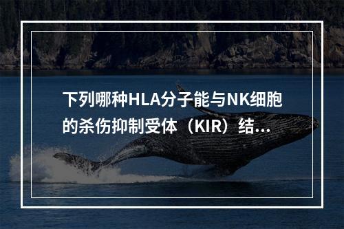 下列哪种HLA分子能与NK细胞的杀伤抑制受体（KIR）结合？