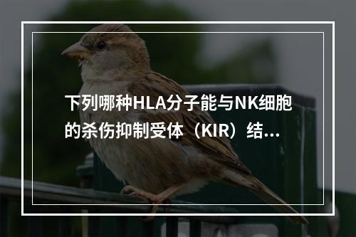 下列哪种HLA分子能与NK细胞的杀伤抑制受体（KIR）结合？