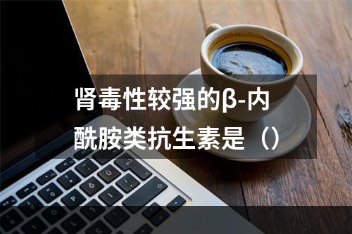 肾毒性较强的β-内酰胺类抗生素是（）