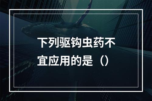 下列驱钩虫药不宜应用的是（）