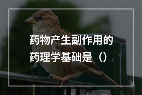 药物产生副作用的药理学基础是（）