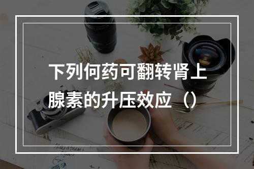 下列何药可翻转肾上腺素的升压效应（）