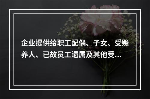 企业提供给职工配偶、子女、受赡养人、已故员工遗属及其他受益人