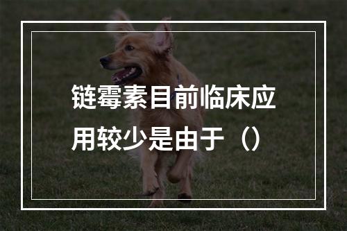 链霉素目前临床应用较少是由于（）