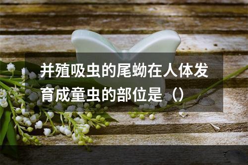 并殖吸虫的尾蚴在人体发育成童虫的部位是（）