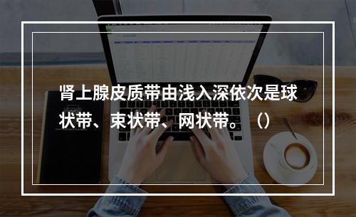 肾上腺皮质带由浅入深依次是球状带、束状带、网状带。（）