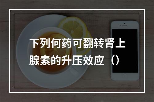 下列何药可翻转肾上腺素的升压效应（）