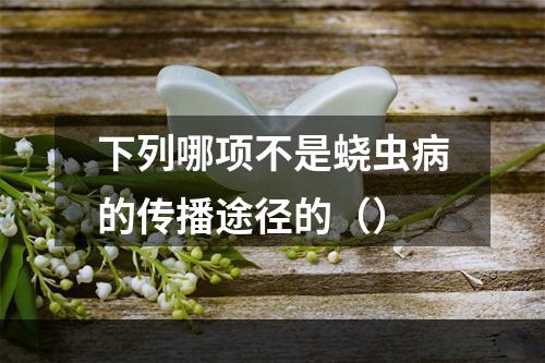 下列哪项不是蛲虫病的传播途径的（）