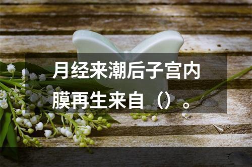 月经来潮后子宫内膜再生来自（）。