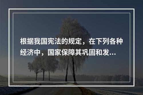 根据我国宪法的规定，在下列各种经济中，国家保障其巩固和发展的