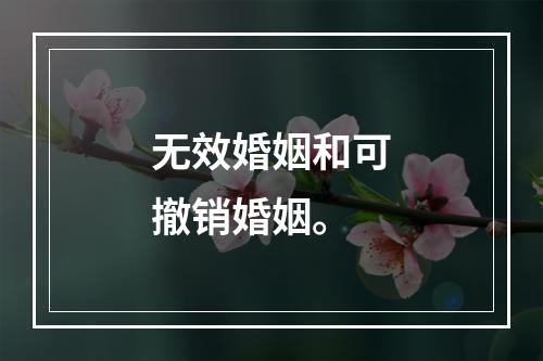 无效婚姻和可撤销婚姻。