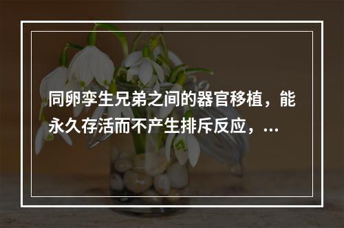 同卵孪生兄弟之间的器官移植，能永久存活而不产生排斥反应，称为