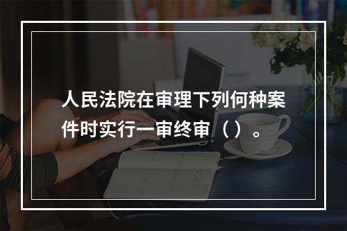 人民法院在审理下列何种案件时实行一审终审（ ）。