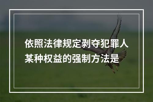 依照法律规定剥夺犯罪人某种权益的强制方法是