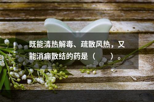 既能清热解毒、疏散风热，又能消痈散结的药是（　　）。