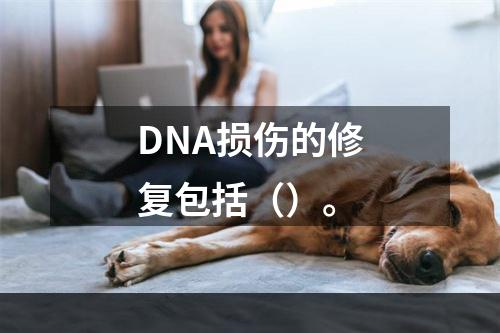 DNA损伤的修复包括（）。