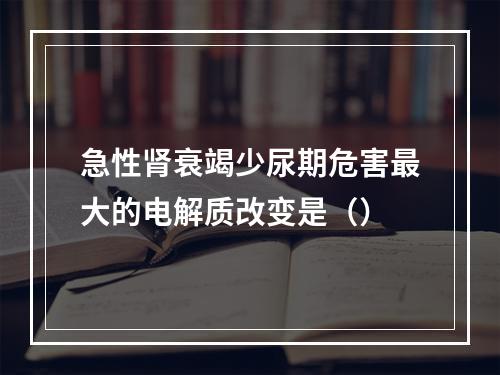 急性肾衰竭少尿期危害最大的电解质改变是（）