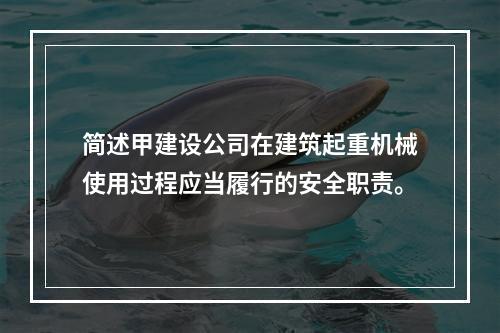 简述甲建设公司在建筑起重机械使用过程应当履行的安全职责。