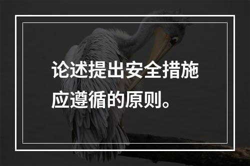 论述提出安全措施应遵循的原则。