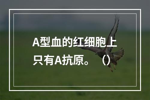 A型血的红细胞上只有A抗原。（）