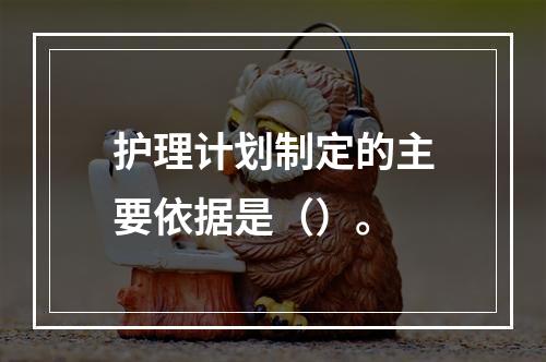 护理计划制定的主要依据是（）。