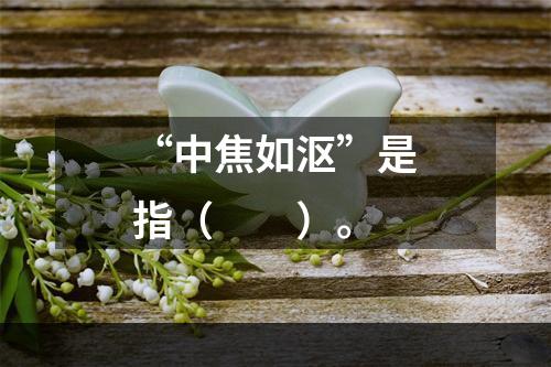 “中焦如沤”是指（　　）。