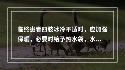 临终患者四肢冰冷不适时，应加强保暖，必要时给予热水袋，水温应