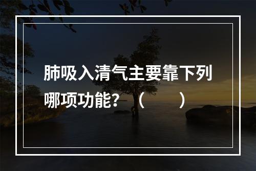 肺吸入清气主要靠下列哪项功能？（　　）