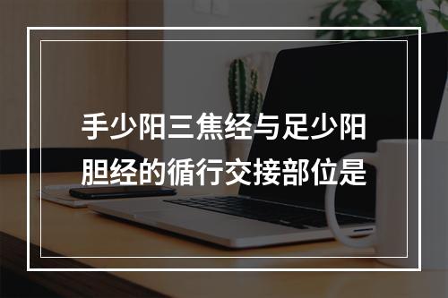 手少阳三焦经与足少阳胆经的循行交接部位是