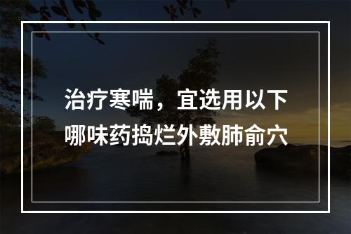 治疗寒喘，宜选用以下哪味药捣烂外敷肺俞穴