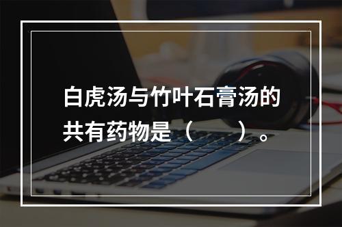 白虎汤与竹叶石膏汤的共有药物是（　　）。