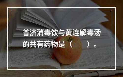 普济消毒饮与黄连解毒汤的共有药物是（　　）。