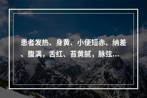 患者发热、身黄、小便短赤、纳差、腹满，舌红、苔黄腻，脉弦数，