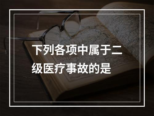 下列各项中属于二级医疗事故的是