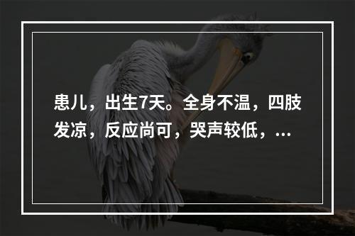 患儿，出生7天。全身不温，四肢发凉，反应尚可，哭声较低，肌肤