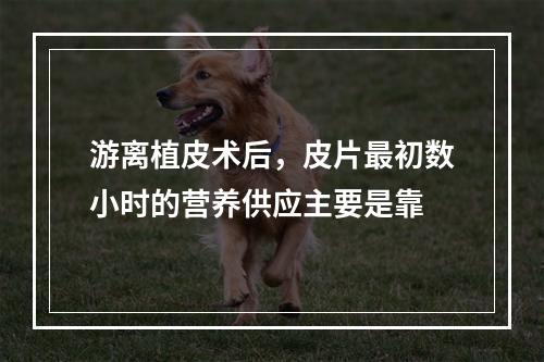 游离植皮术后，皮片最初数小时的营养供应主要是靠