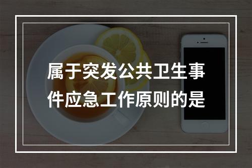 属于突发公共卫生事件应急工作原则的是