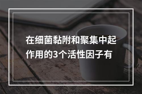 在细菌黏附和聚集中起作用的3个活性因子有