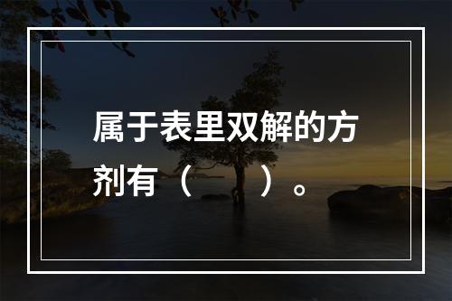 属于表里双解的方剂有（　　）。