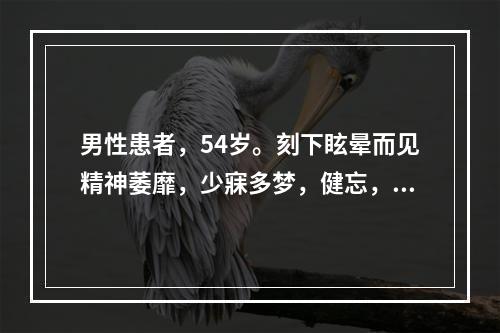 男性患者，54岁。刻下眩晕而见精神萎靡，少寐多梦，健忘，腰